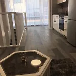 Columba Livia 3* Palanga