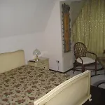 Columba Livia 3*