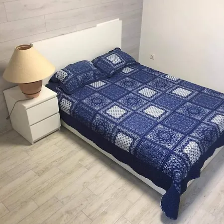 Columba Livia 3* Palanga