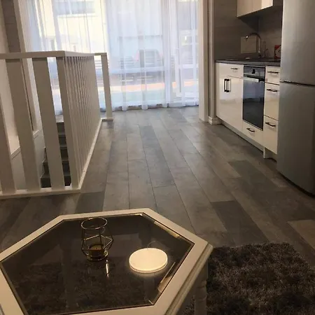 Columba Livia 4* Palanga