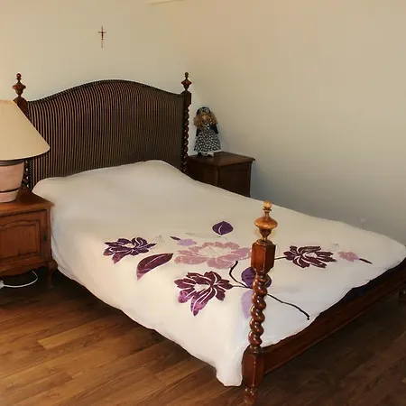 Columba Livia Pensjonat