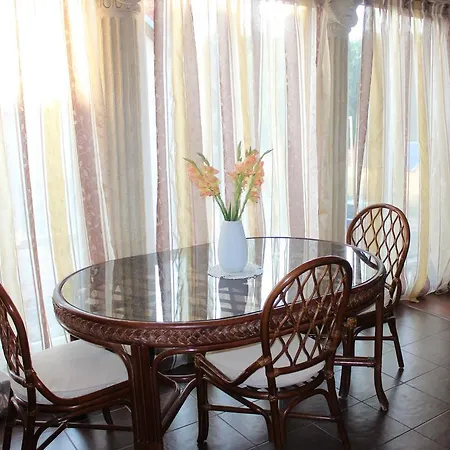 Columba Livia Połąga