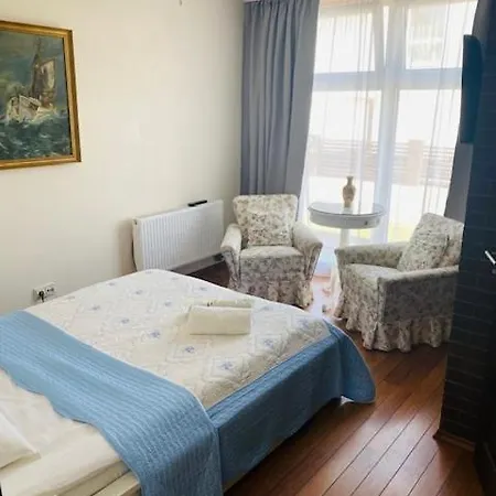 Columba Livia 3*