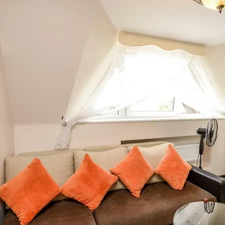 Columba Livia Połąga