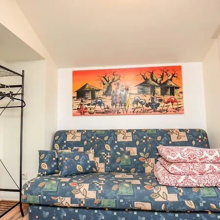 Columba Livia 4*