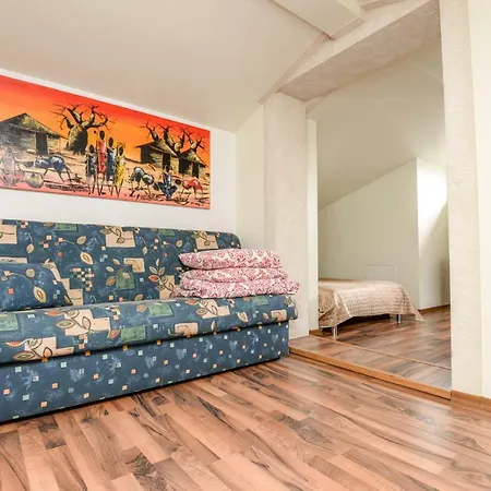 Columba Livia 3*