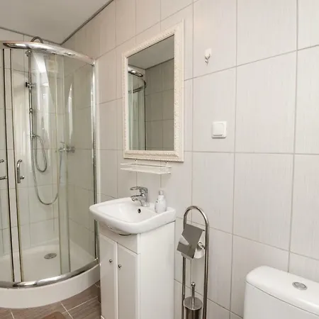 Columba Livia 3*