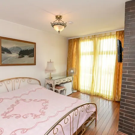 Columba Livia 3*