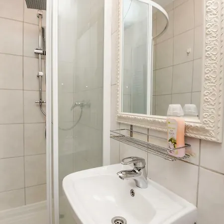 Columba Livia 3*