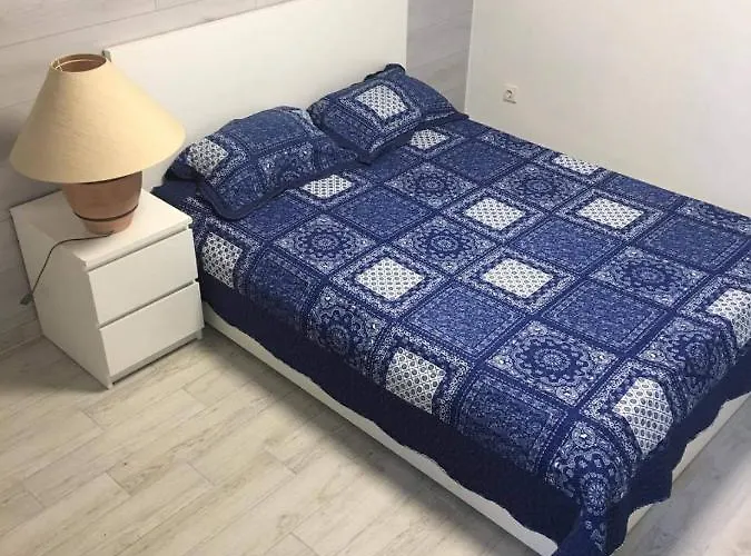 Columba Livia 3* Παλάγκα