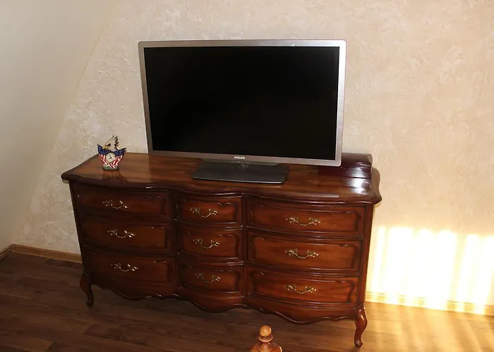 Columba Livia Παλάγκα