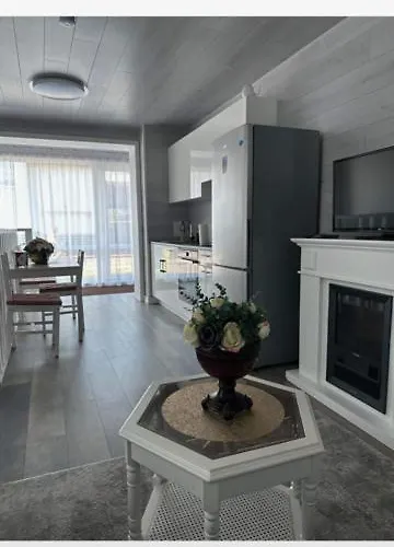 Columba Livia Παλάγκα