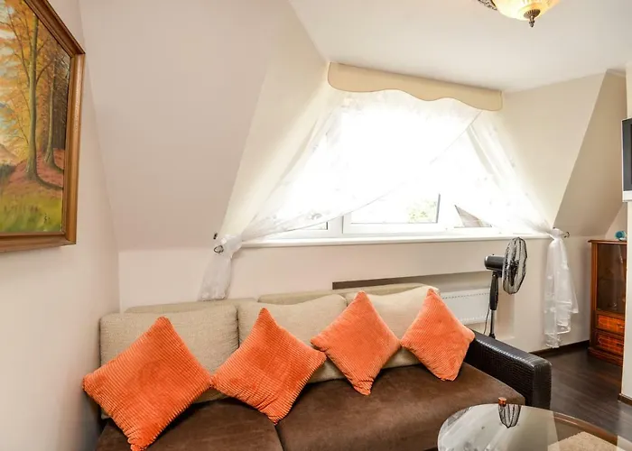 Columba Livia Παλάγκα