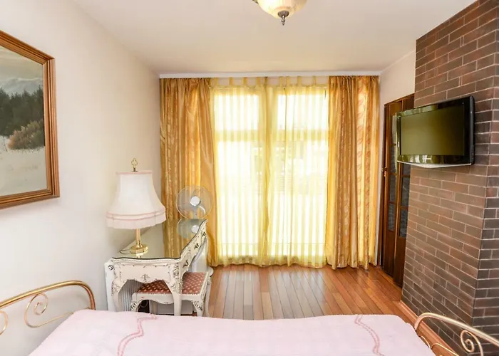 Columba Livia Παλάγκα