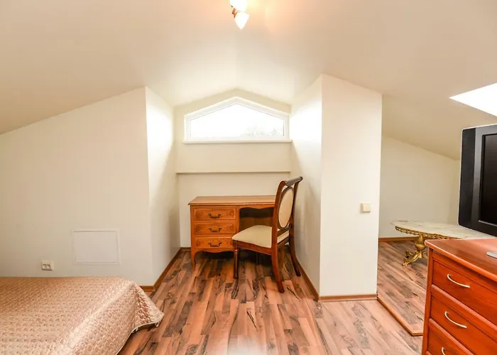 Columba Livia Πανσιόν Παλάγκα